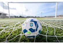 TV Brasil mostra nesta segunda confronto entre Palmeiras e Atlético-MG