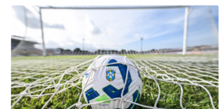 TV Brasil mostra nesta segunda confronto entre Palmeiras e Atlético-MG