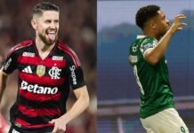Onde assistir: quarta-feira define futuro de Flamengo e Palmeiras na Libertadores