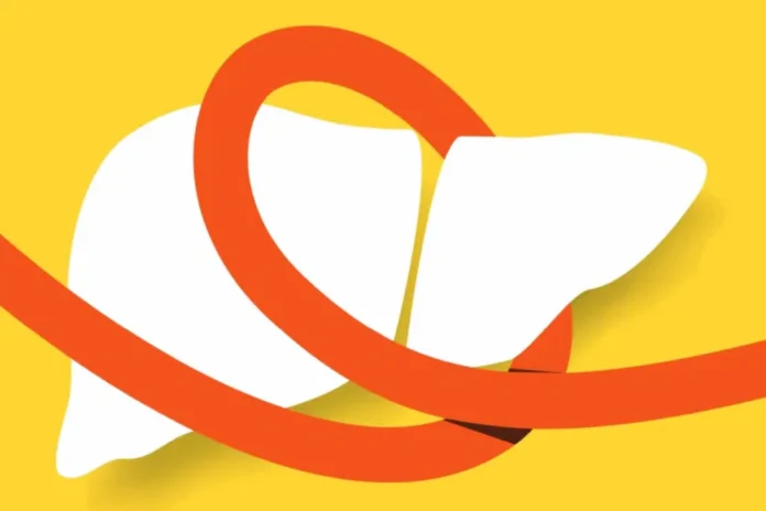 figado-fita-1024x683.png