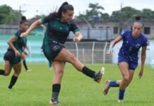 Semifinais do Sul-Mato-Grossense Feminino começam em Campo Grande Semifinais do Sul-Mato-Grossense Feminino começam em Campo Grande
