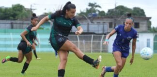 Semifinais do Sul-Mato-Grossense Feminino começam em Campo Grande Semifinais do Sul-Mato-Grossense Feminino começam em Campo Grande